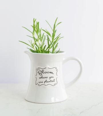 Bloom where you are planted vase